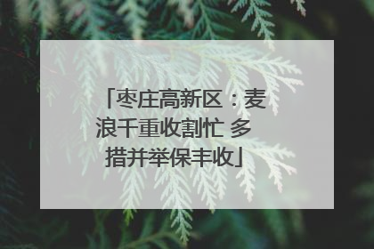 枣庄高新区：麦浪千重收割忙 多措并举保丰收