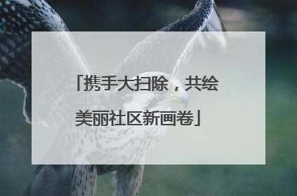 携手大扫除，共绘美丽社区新画卷
