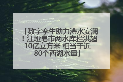 数字孪生助力澧水安澜！江垭皂市两水库拦洪超10亿立方米 相当于近80个西湖水量