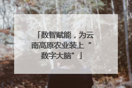 数智赋能，为云南高原农业装上“数字大脑”