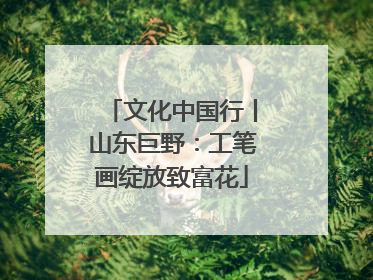 文化中国行丨山东巨野：工笔画绽放致富花