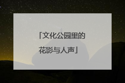 文化公园里的花影与人声