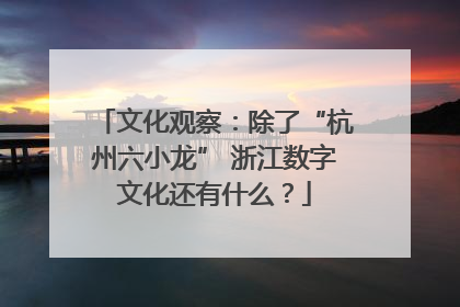 文化观察：除了“杭州六小龙” 浙江数字文化还有什么？