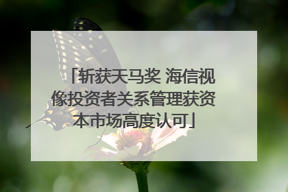 斩获天马奖 海信视像投资者关系管理获资本市场高度认可
