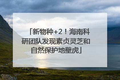 新物种+2！海南科研团队发现素贞灵芝和自然保护地壁虎