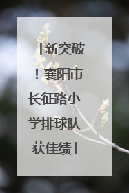 新突破！襄阳市长征路小学排球队获佳绩