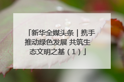 新华全媒头条｜携手推动绿色发展 共筑生态文明之基（1）