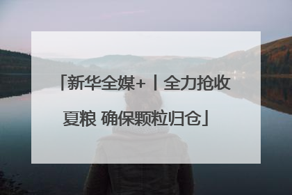 新华全媒+丨全力抢收夏粮 确保颗粒归仓