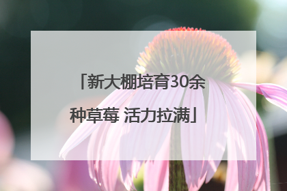 新大棚培育30余种草莓 活力拉满
