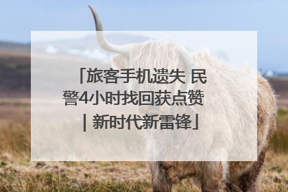 旅客手机遗失 民警4小时找回获点赞｜新时代新雷锋