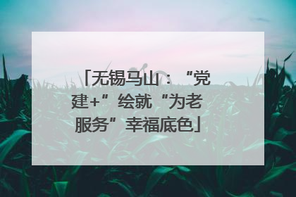 无锡马山：“党建+”绘就“为老服务”幸福底色