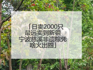 日卖2000只 最远卖到新疆 宁波慈溪非遗粽凭啥火出圈