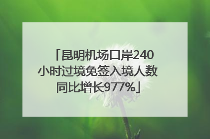 昆明机场口岸240小时过境免签入境人数同比增长977%