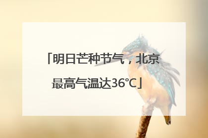 明日芒种节气，北京最高气温达36℃
