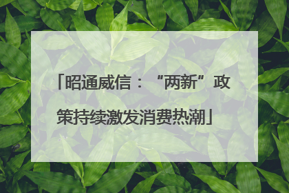 昭通威信：“两新”政策持续激发消费热潮