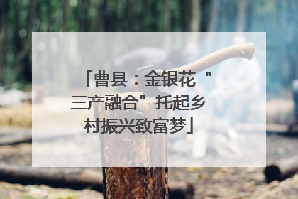 曹县：金银花“三产融合”托起乡村振兴致富梦