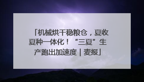 机械烘干稳粮仓，夏收夏种一体化！“三夏”生产跑出加速度｜麦报