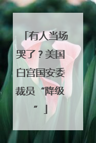 有人当场哭了？美国白宫国安委裁员“降级”