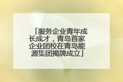 服务企业青年成长成才，青岛首家企业团校在青岛能源集团揭牌成立
