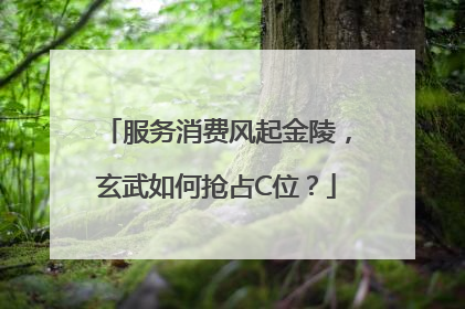 服务消费风起金陵，玄武如何抢占C位？