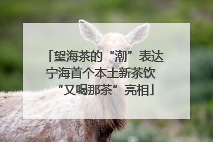 望海茶的“潮”表达 宁海首个本土新茶饮“又喝那茶”亮相