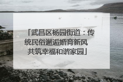 武昌区杨园街道：传统民俗邂逅婚育新风 共筑幸福和谐家园