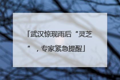 武汉惊现雨后“灵芝”，专家紧急提醒