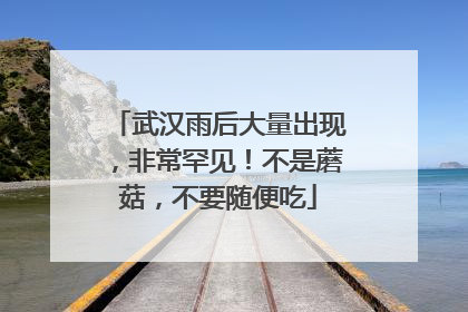 武汉雨后大量出现，非常罕见！不是蘑菇，不要随便吃