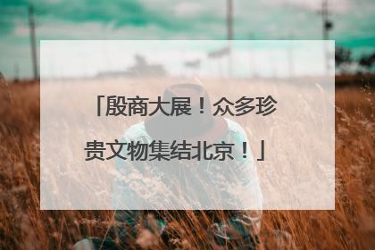 殷商大展！众多珍贵文物集结北京！