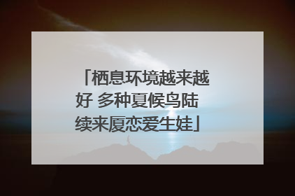 栖息环境越来越好 多种夏候鸟陆续来厦恋爱生娃