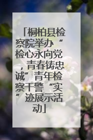 桐柏县检察院举办“检心永向党，青春铸忠诚”青年检察干警“实”迹展示活动
