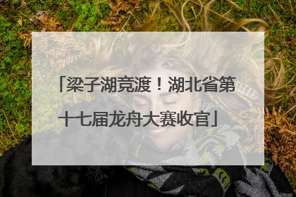 梁子湖竞渡！湖北省第十七届龙舟大赛收官