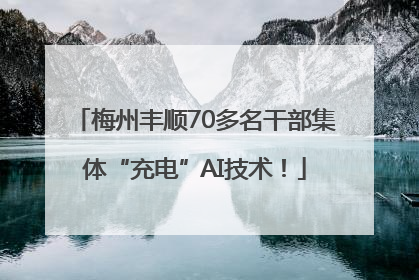 梅州丰顺70多名干部集体“充电”AI技术！