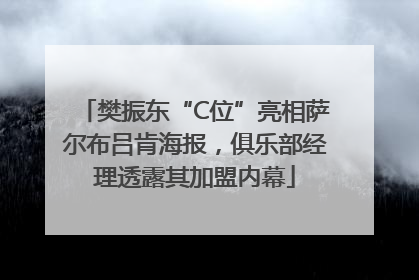 樊振东“C位”亮相萨尔布吕肯海报，俱乐部经理透露其加盟内幕