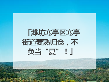 潍坊寒亭区寒亭街道麦熟归仓，不负当“夏”！