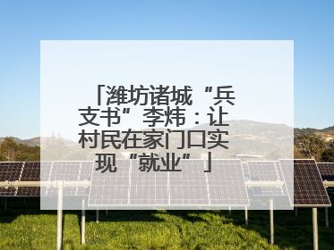 潍坊诸城“兵支书”李炜：让村民在家门口实现“就业”
