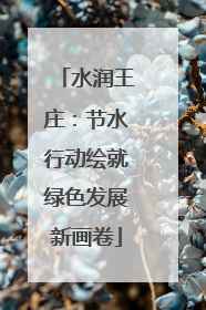 水润王庄：节水行动绘就绿色发展新画卷