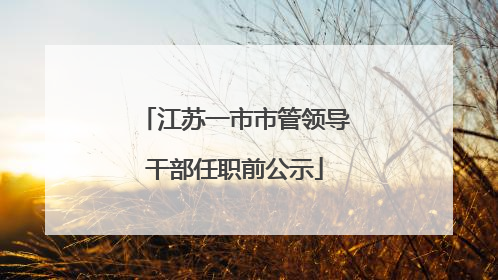 江苏一市市管领导干部任职前公示