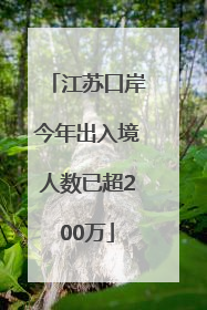 江苏口岸今年出入境人数已超200万