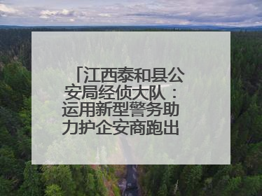 江西泰和县公安局经侦大队：运用新型警务助力护企安商跑出“加速度”