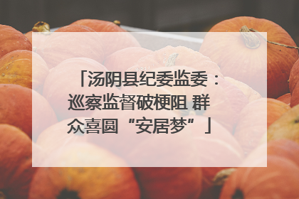 汤阴县纪委监委：巡察监督破梗阻 群众喜圆“安居梦”