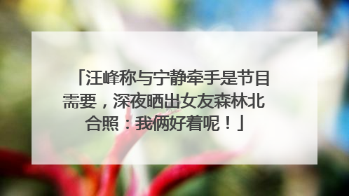 汪峰称与宁静牵手是节目需要，深夜晒出女友森林北合照：我俩好着呢！