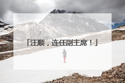 汪顺，连任副主席！