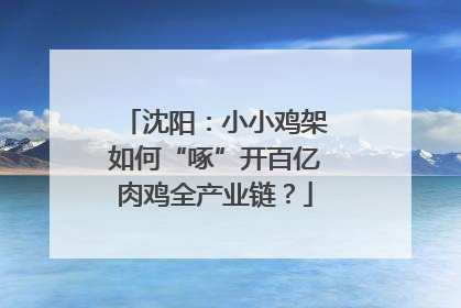 沈阳：小小鸡架如何“啄”开百亿肉鸡全产业链？