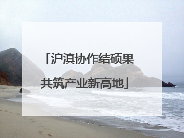 沪滇协作结硕果 共筑产业新高地
