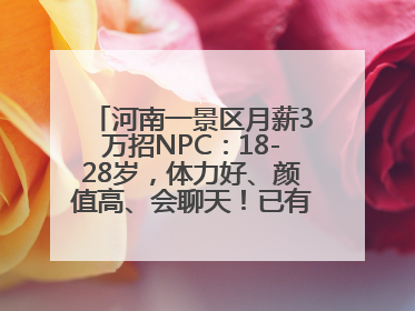 河南一景区月薪3万招NPC：18-28岁，体力好、颜值高、会聊天！已有1000多人应聘