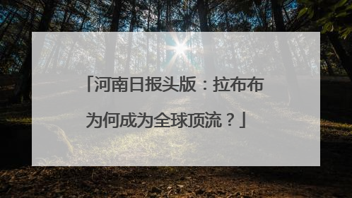 河南日报头版：拉布布为何成为全球顶流？