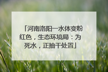 河南洛阳一水体变粉红色，生态环境局：为死水，正抽干处置