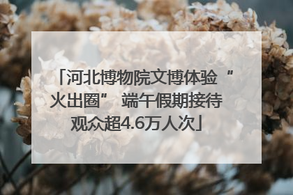 河北博物院文博体验“火出圈” 端午假期接待观众超4.6万人次
