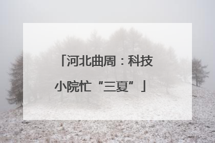 河北曲周：科技小院忙“三夏”
